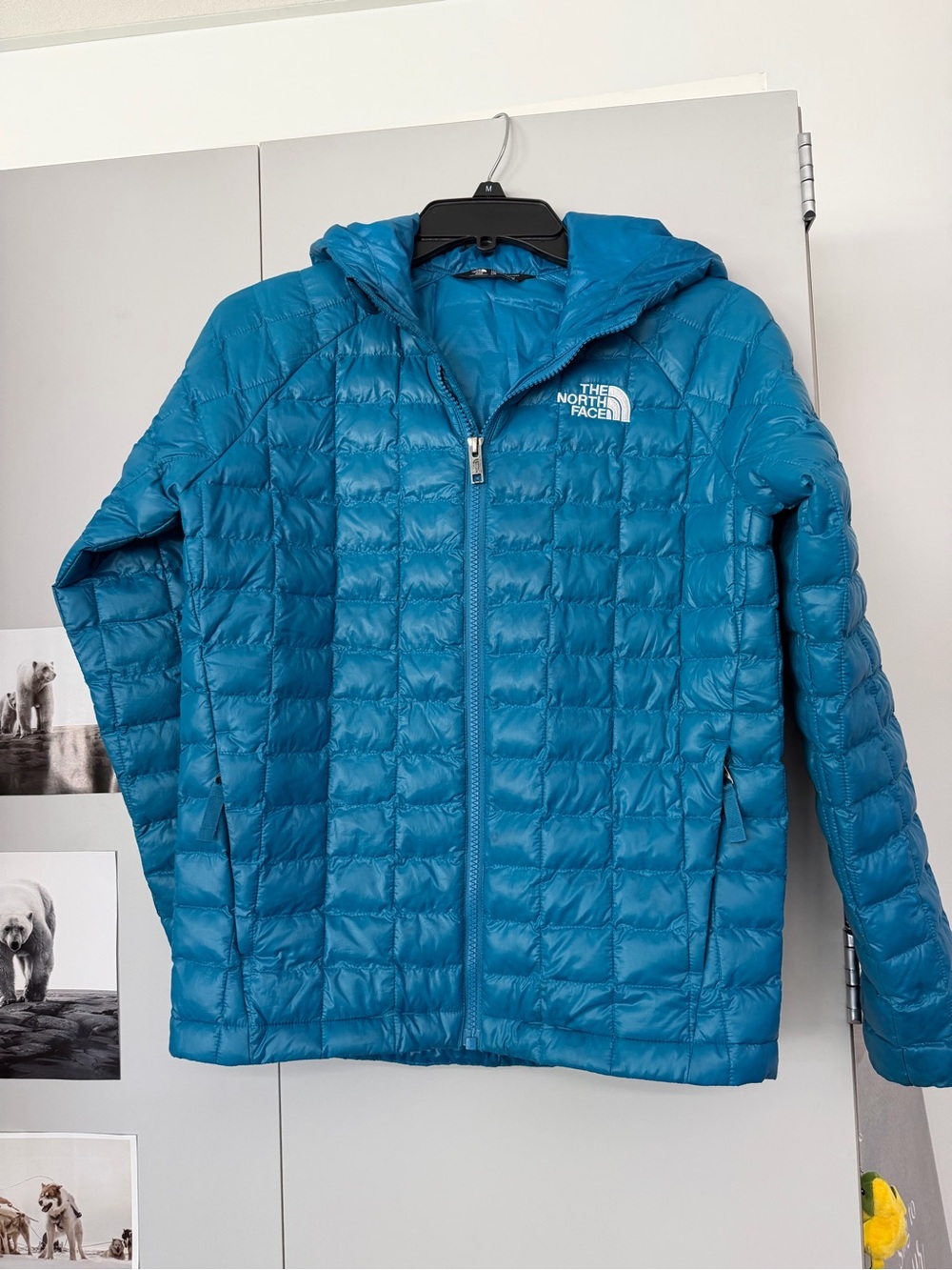 The North Face Teen/adolescent size 12 (women’s Small) Hooded Puffer Jacket